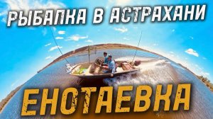 Рыбалка в Астрахани Енотаевка ЭТА резина всегда ловит Рыбалка на спиннинг