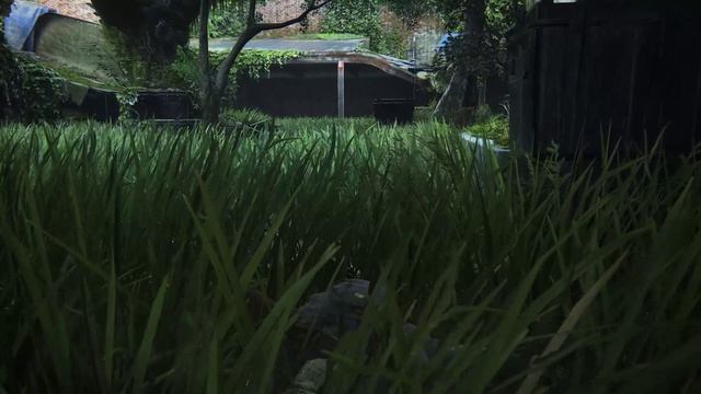 The Last of Us™ Part II Remastered часть 10 смотреть онлайн