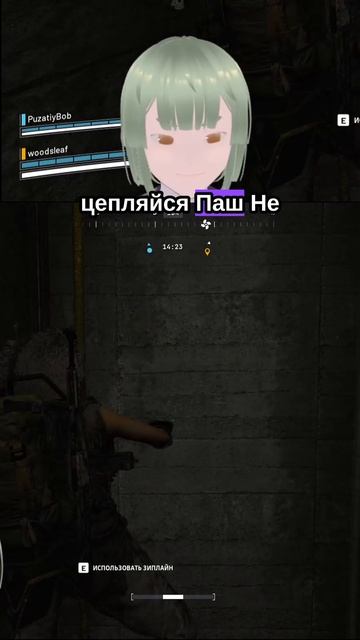 Меню на выбор