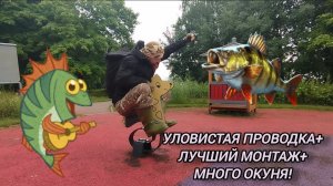 СУПЕР ОСНАСТКА+ОТЛИЧНАЯ ПРОВОДКА+МНОГО ОКУНЯ/ РЫБАЛКА СПИННИНГ