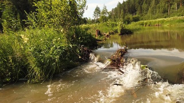 Бобровая запруда возле Сказа на речке Сухая Шемаха.