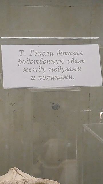 Дарвиновский музей Часть 38