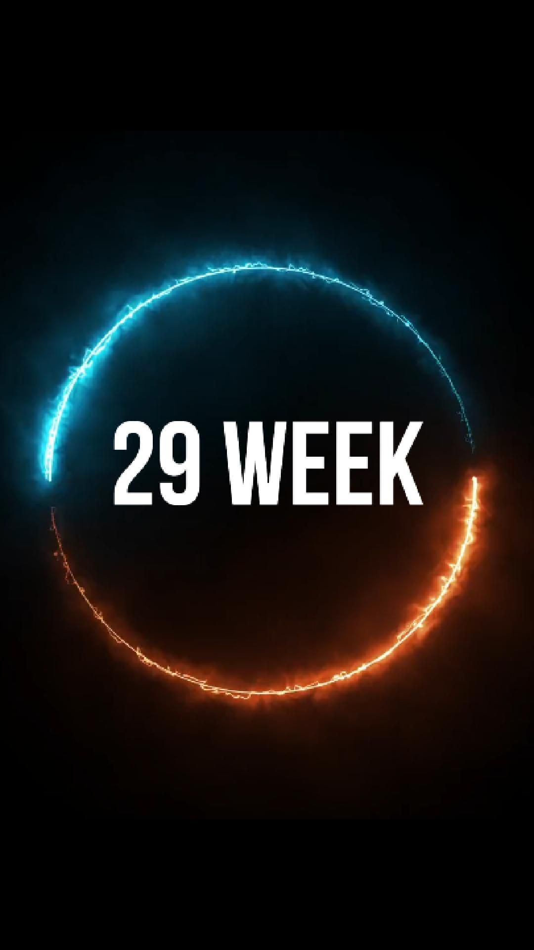 29 Week /26