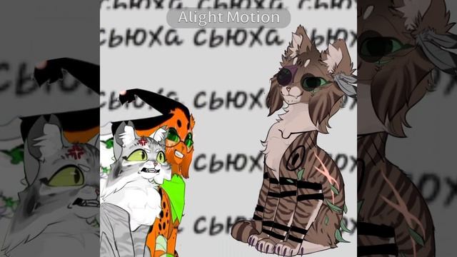 Сьюха ❤️ смотреть онлайн