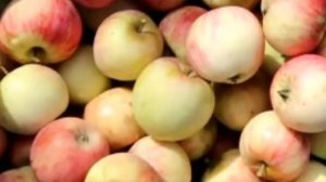 Яблочная диета