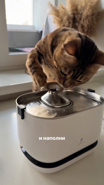 Освещение купели прошло успешно 😂 Батюшка Лекс принимает пожертвования в виде тунца 🐟