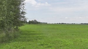 Коп монет в середине лета.
