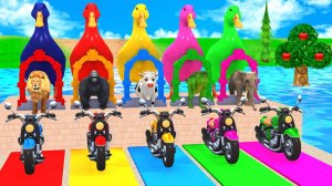 Игра-слайд с животными, Которая заставит Вас рассмеяться 😄 - 3D Животные