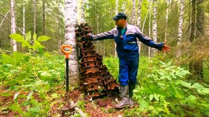 ЭТО НЕ ЛЕС, А СКЛАД МЕТАЛЛОЛОМА! Нашёл ленты траков ТДТ-40 Режу рельсы на УЖД.