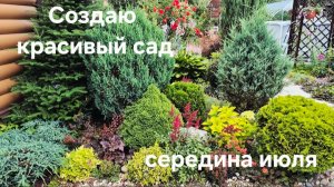Создаю красивый сад. Подмосковье. Середина июля. Астильбы в саду. Гортензии Bloomulus.