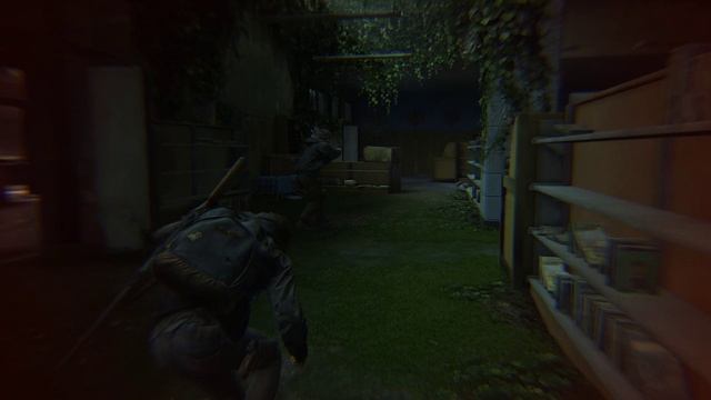The Last of Us Part II