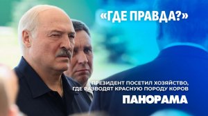Лукашенко: упаси господь хоть один комбайн будет не готов. Президент посетил базу «Устье». Панорама