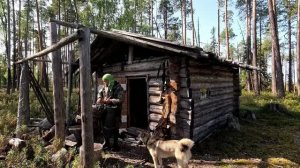 ДОБРАЛСЯ ДО ТАЁЖНОЙ ЗАИМКИ И ОБАЛДЕЛ.ОТКРЫЛ ДВЕРЬ И ОФИГЕЛ. ЧТО Я УВИДЕЛ В ИЗБУШКЕ