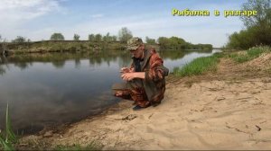 Как собрать донку, чтобы рыба брала без остановки. Проверенный опыт с водоёма