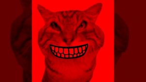 Радостные лица Кота Носка ремейк