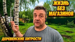 Как обеспечить семью бесплатными яйцами и куриным мясом: пошаговое руководство!»