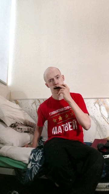 Контролька или губная гармония
