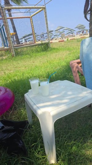 14.07.26 отдых в Турции на берегу моря под пальмами