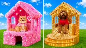 Рыжий кот против Коричневой собаки 🏠 Битва за преображение комнаты мечты ✨