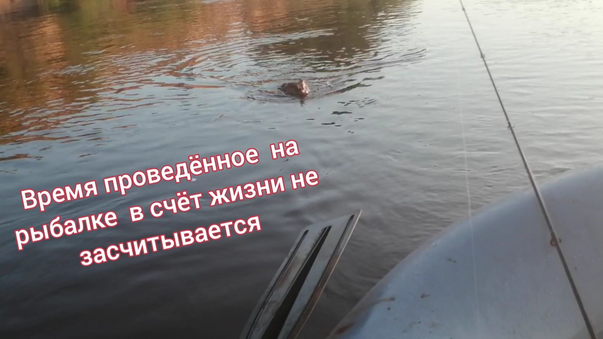Эжва. Вычегда. Июль. Время проведённое на рыбалке в счёт жизни не засчитывается