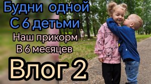 прикорм в многодетной семьие....будет с 6детьми