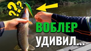 Этот воблер сделал рыбалку