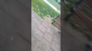 просто гуляю, интернет на улице есть