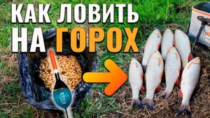 Как ловить удочкой на горох Берет только крупняк