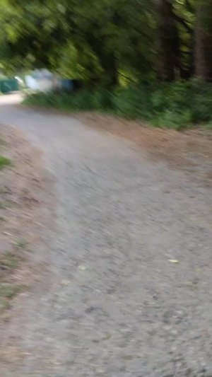 ищем даню