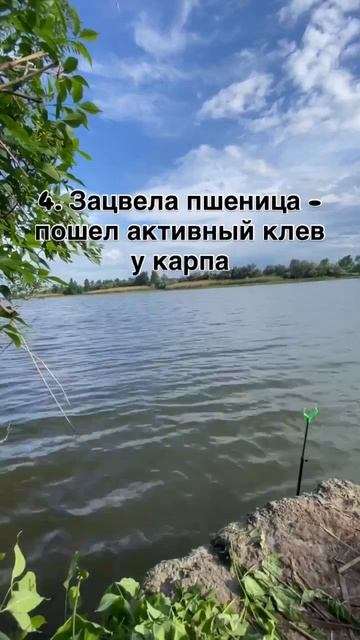 7 примет рыбаку смотреть онлайн
