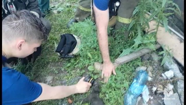 Находки в омском цехе