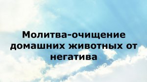 МОЛИТВА-ОЧИЩЕНИЕ ДОМАШНИХ ЖИВОТНЫХ ОТ НЕГАТИВА #наянабелосвет