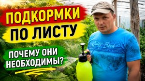ВНЕКОРНЕВЫЕ ПОДКОРМКИ-ПОЧЕМУ ОНИ НЕОБХОДИМЫ?