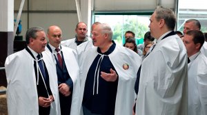 Лукашенко поручил разработать четкую программу по разведению в Беларуси красной породы коров