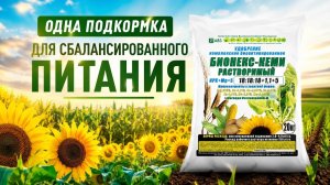 Идеальное соотношение азота-фосфора-калия Хозяйства пользуйтесь Бионекс-кеми