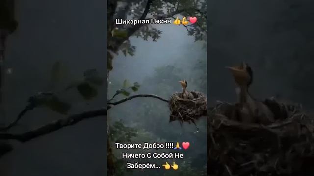 Твори Добро