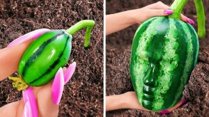 Как вырастить еду 🥦🍉 Самый летний гайд! Лучшие советы по садоводству от 123 GO!