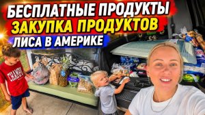 КАК ВЫЖИВАЮТ РУССКОЯЗЫЧНЫЕ НА ЗАГНИВАЮЩЕМ ЗАПАДЕ: ПОЛНАЯ МАШИНА  Бесплатные продукты в Америке