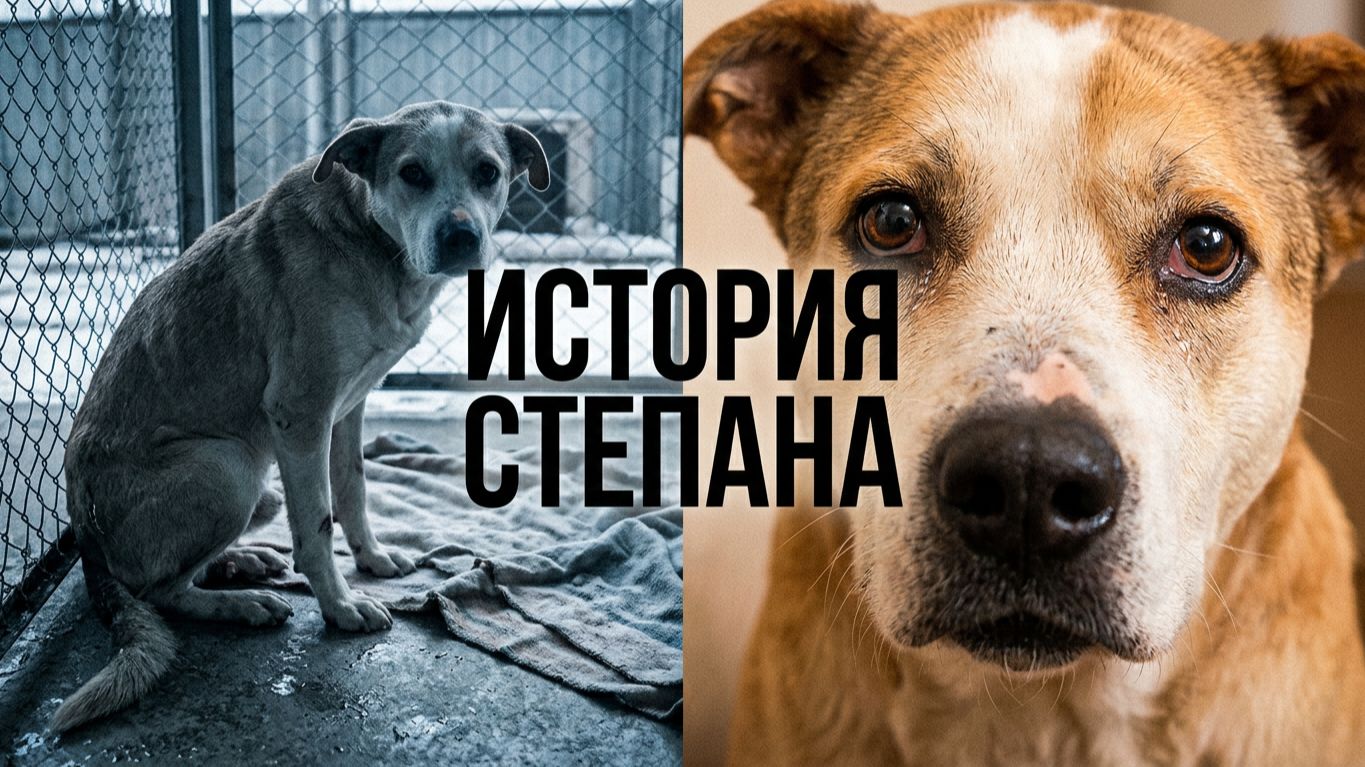 Старость и болезни пришли раньше счастья…