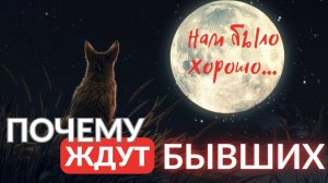 Почему ждут бывших