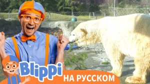 Блиппи идёт в зоопарк _ Блиппи на Русском _ Изучай этот Мир вместе с Блиппи _ Blippi