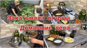 Закатывала огурцы. Домашние дела