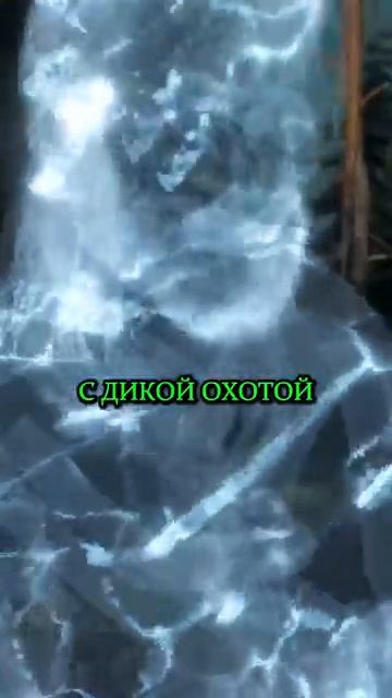 Краткость Лето. Ведьмак 3