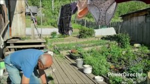 Повредила ногу. К родителям. Утренний обход.  Аборигенка. Жизнь в глубинке. Дальний Восток.