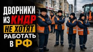 Дмитрий Борисенко. Дворники из КНДР не хотят работать в РФ