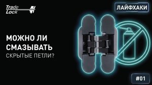 МОЖНО ЛИ СМАЗЫВАТЬ СКРЫТЫЕ ПЕТЛИ?