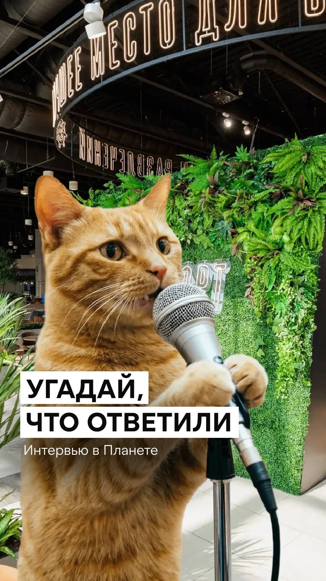 🎤 Сегодня Абрам решил проверить, чем могут удивить гости Планеты.