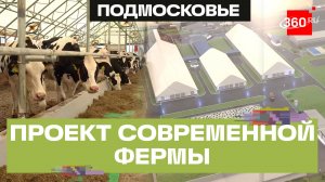 14 тысяч тонн молока в год: в Домодедове открылась новая ферма