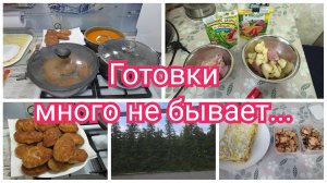 «Всё ОДНО и ТОЖЕ» Пока на кухне, отвечаю на ВАШИ комментарии