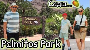 Gran Canaria 🇮🇨 Palmitos Park 🐬 сады манго 🥭 наш отдых на Канарах ✔️ влог